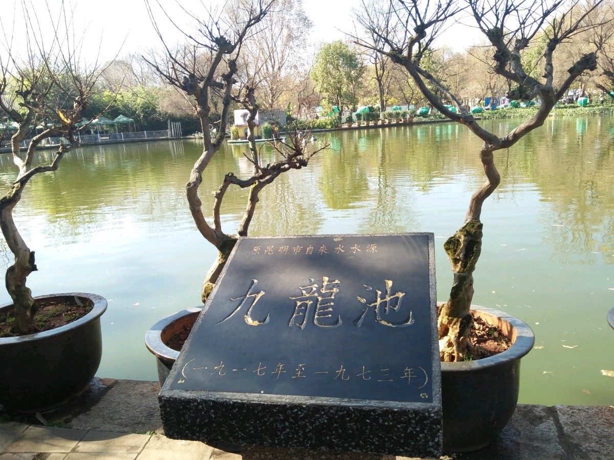 【北京头条】推介（广州）优秀诗人王学志《昆明游》两首请欣赏（图5）