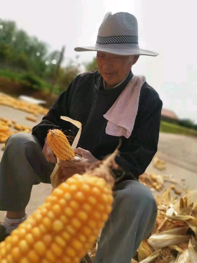 【散文】烽烟滚滚唱英雄 文/李庆明（图13）
