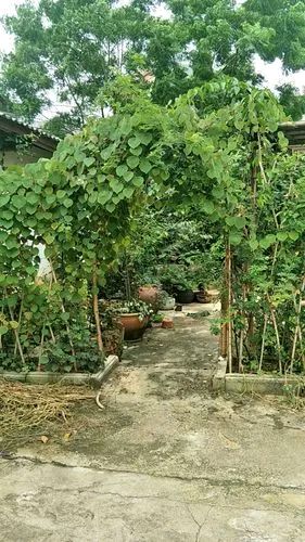 《七律 · 山居》作者/吴云钦（图3）
