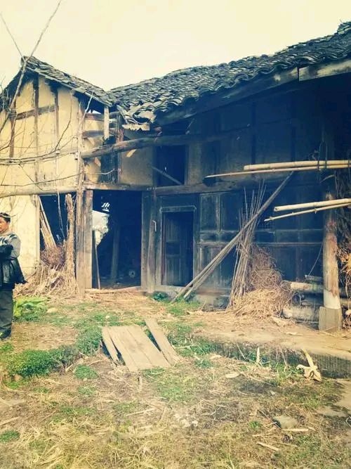 【自由体新诗】作者/郑金波（图4）
