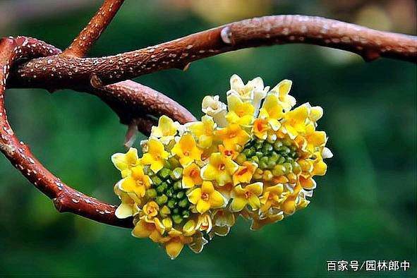 【北京头条】推介周成才组诗请欣赏（图14）
