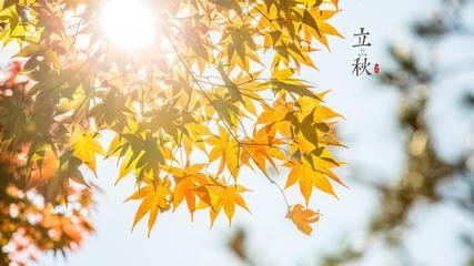 【北京头条】推介优秀诗人贾玉欣组诗请欣赏（图4）