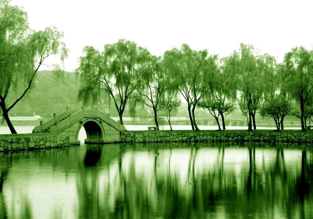 【自由体新诗】《听风听雨又听秋》作者/郑金波（图4）