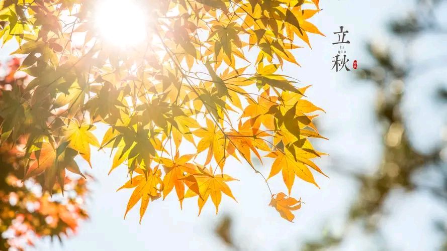 【原创首发】《七绝 · 初秋》作者/平凡（河北保定）（图2）