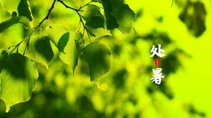 【北京头条】分享优秀诗人贾玉欣组诗请欣（图5）