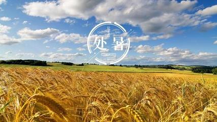 【北京头条】分享优秀诗人贾玉欣组诗请欣（图8）