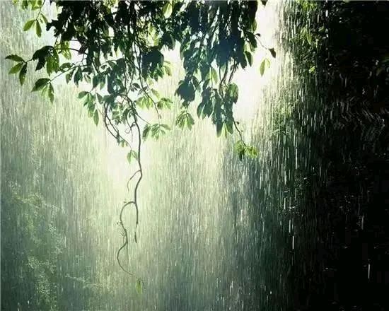 【国风湖南】第37期 吟怀自有凉风在