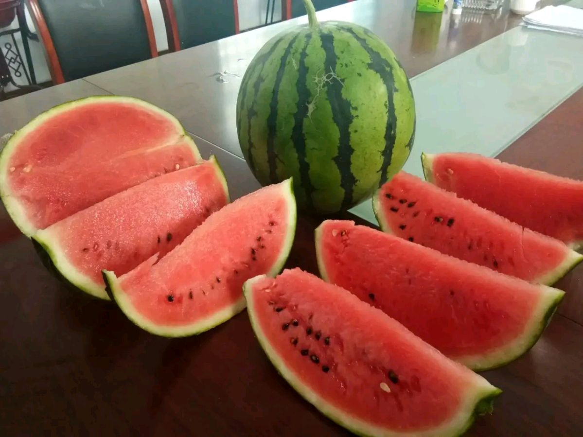 【国风湖南】第37期 吟怀自有凉风在(图8)