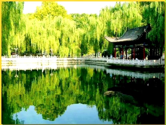 《七律 · 秋色吟》诗人:柳鸣（图2）