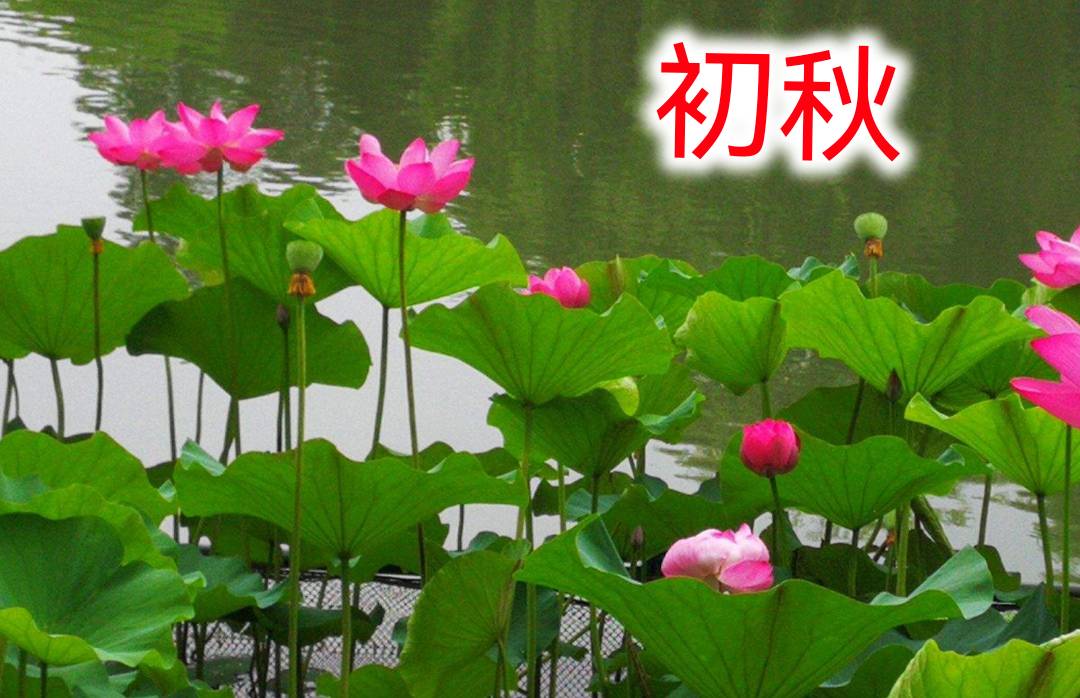 【北京头条】推介优秀诗人牟福香《七律·暴雨》外两首请欣赏（图6）