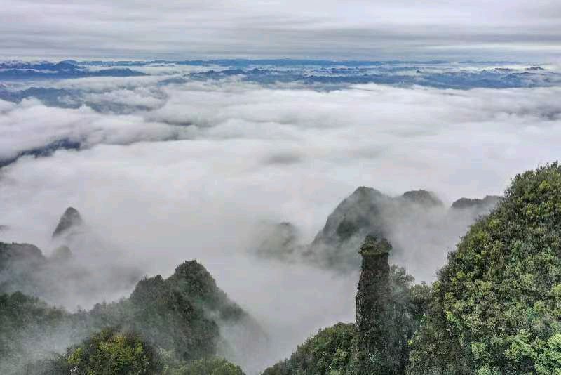 【北京头条】推介(湖北)优秀作家诗人崔怀强《佳人醉·五盖山》请欣赏(图9)