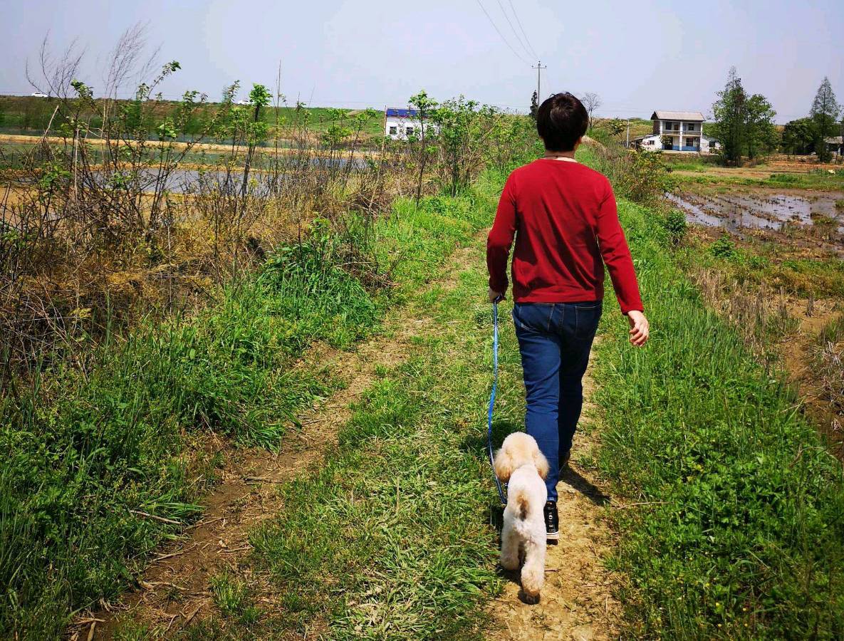 【北京头条】分享优秀诗人杨杰峰组诗请欣赏（图5）
