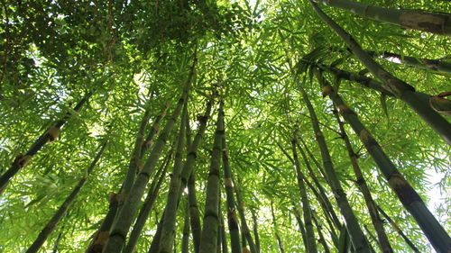 【北京头条】推介（广州）优秀诗人王学志组诗请欣赏（图5）
