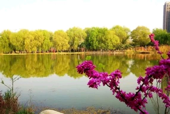 【诗歌鉴赏】人生杂悟9 文/书乐(图3)