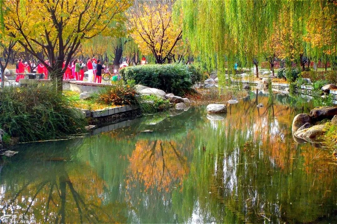 【诗歌鉴赏】人生杂悟9 文/书乐(图5)