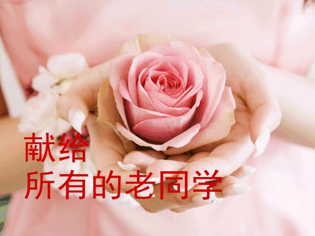 【诗歌鉴赏】同学聚会抒情怀 文/春华秋实（图3）