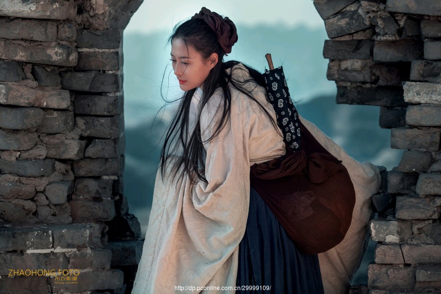 中国爱情故事《鹧鸪天·孟姜女》作者（广州）优秀诗人王学志老师请欣赏（图5）