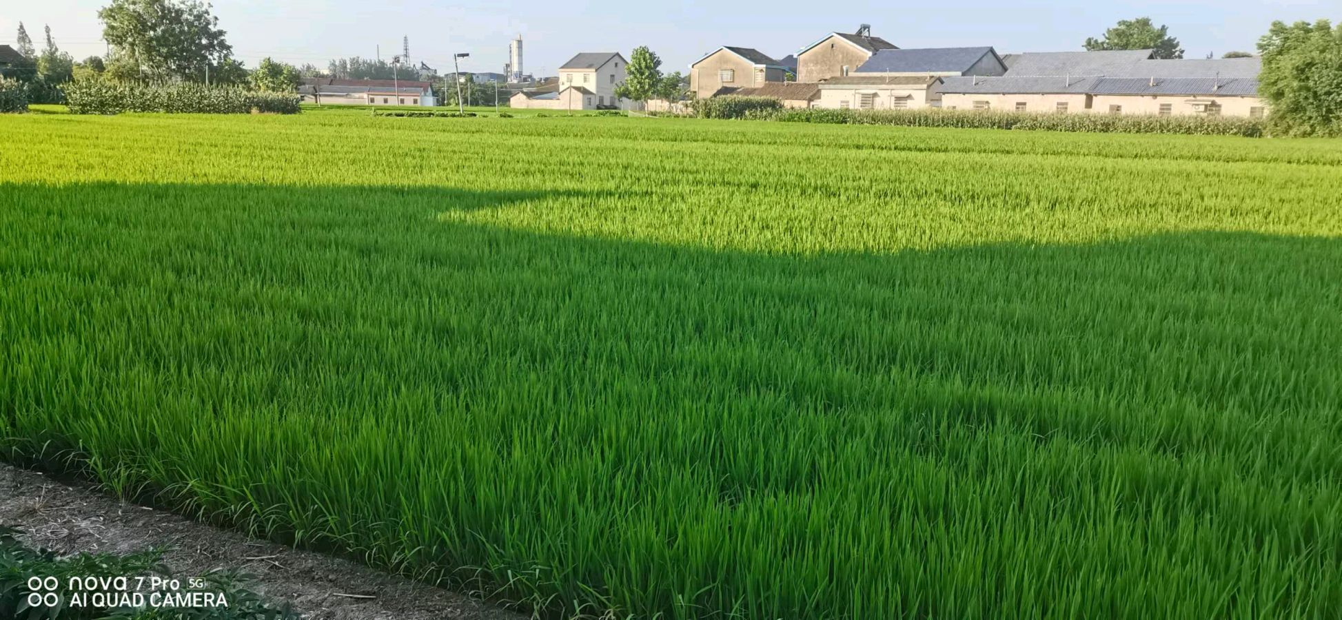 【北京头条】推介胡清普《观乡村美景》请欣赏（图4）