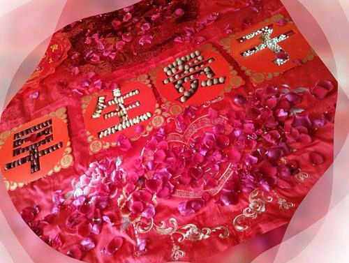热烈祝贺张伟中先生袁瑛女士之子张萌媳石展宇新婚大喜/作者/李周省（图6）