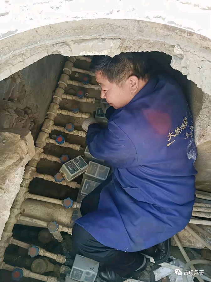 运城市“最美退役军人” ——司保平 特邀金牌主播:黎 敏&蝴蝶兰(图5)
