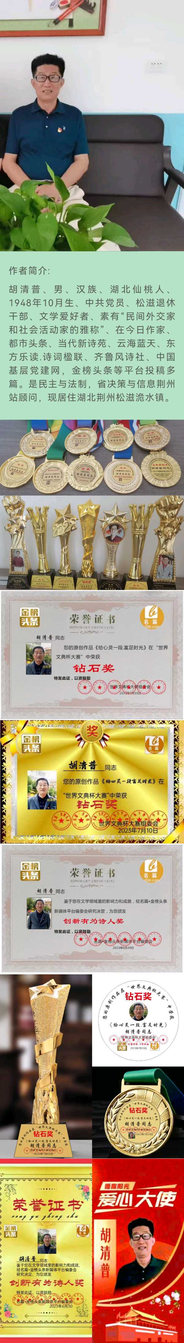 【北京头条】分享胡清普《观洈湖落雁岛》请欣赏（图8）
