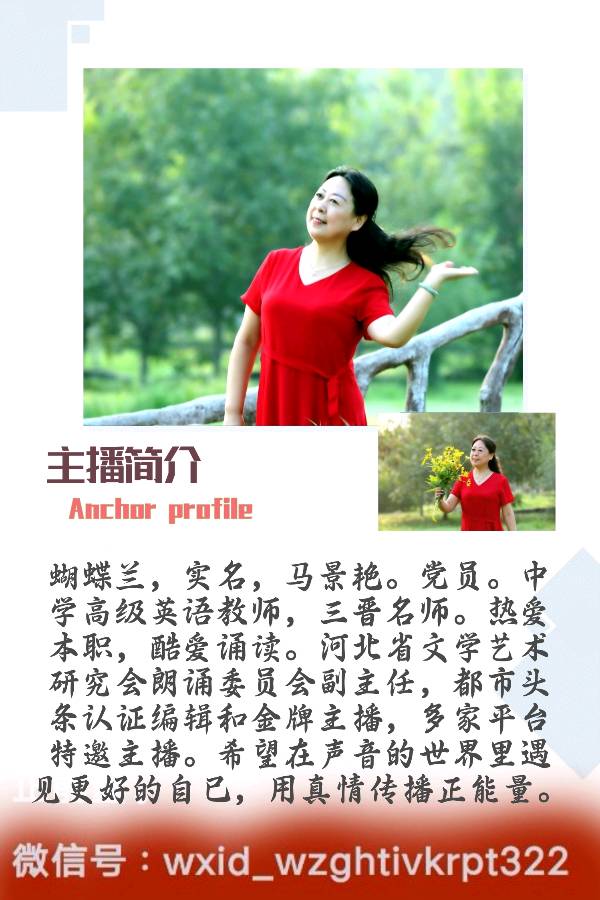 《秋雨连绵》文/人生 播/蝴蝶兰（图4）