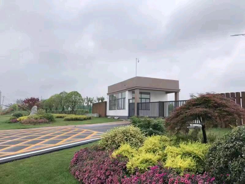 【北京头条】推介(湖北)优秀作家诗人崔怀强《雪域华国堂新洲行四《芭蕉雨·靠山小镇千园艺揽胜》(图7)
