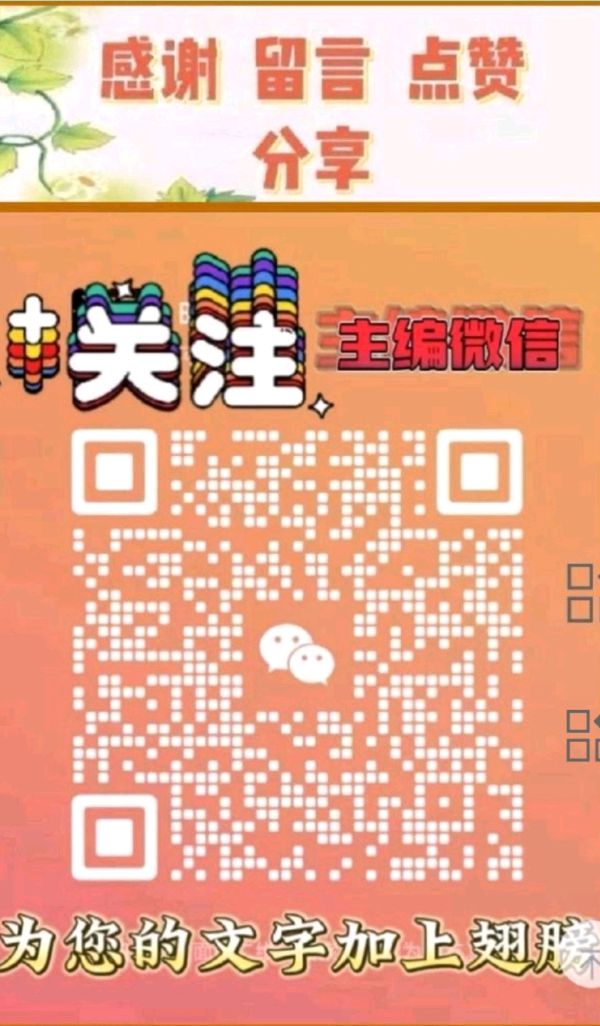 运城市“最美退役军人” ——司保平 特邀金牌主播:黎 敏&蝴蝶兰(图11)
