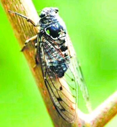 【北京头条】分享（山东）优秀诗人孙健友《温英哇》请欣赏（图4）