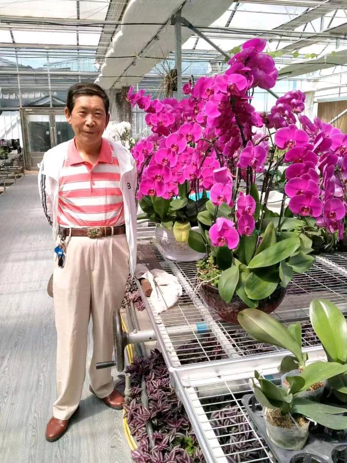 【大东方诗画社】分享优秀作家诗人方亮老师《人生路》请欣赏（图16）