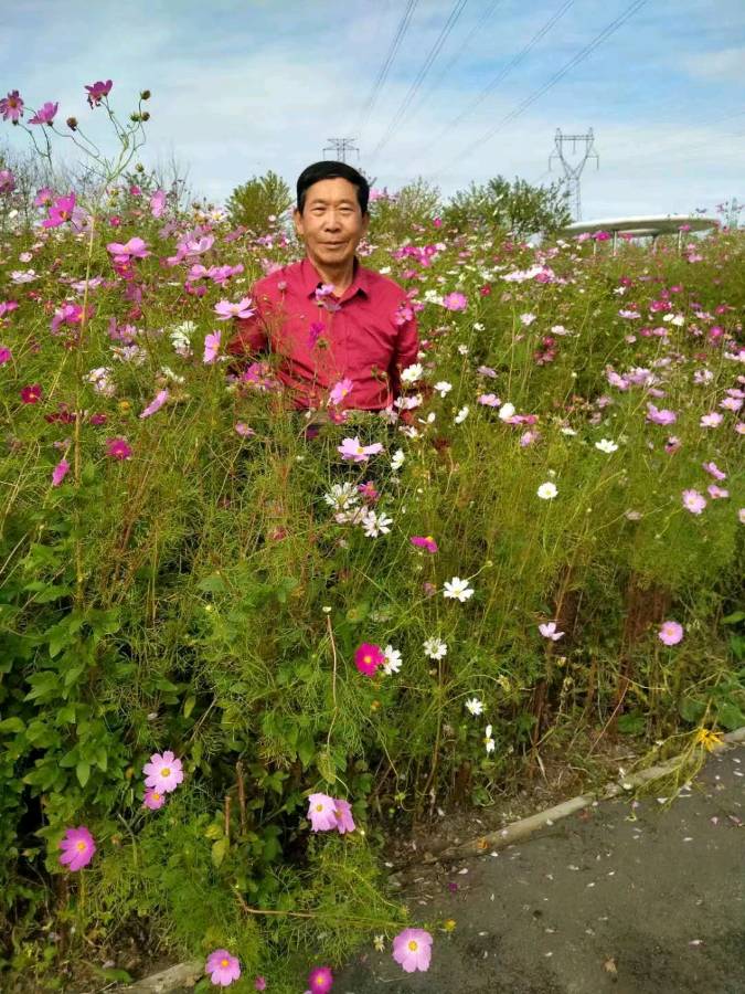 【大东方诗画社】分享优秀作家诗人方亮老师《人生路》请欣赏（图17）