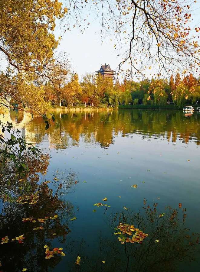 【国风湖南】第38期 我言秋日胜春朝(图3)