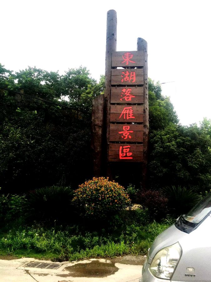 【北京头条】分享(湖北)优秀作家诗人崔怀强《七律·东湖落雁岛》请欣赏(图5)