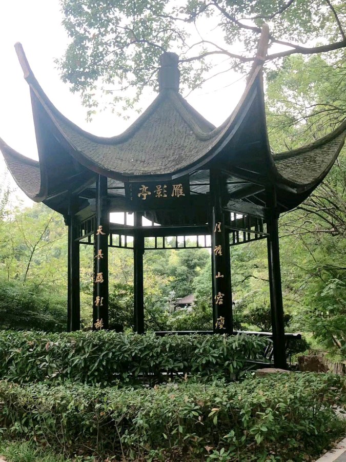 【北京头条】分享(湖北)优秀作家诗人崔怀强《七律·东湖落雁岛》请欣赏(图12)