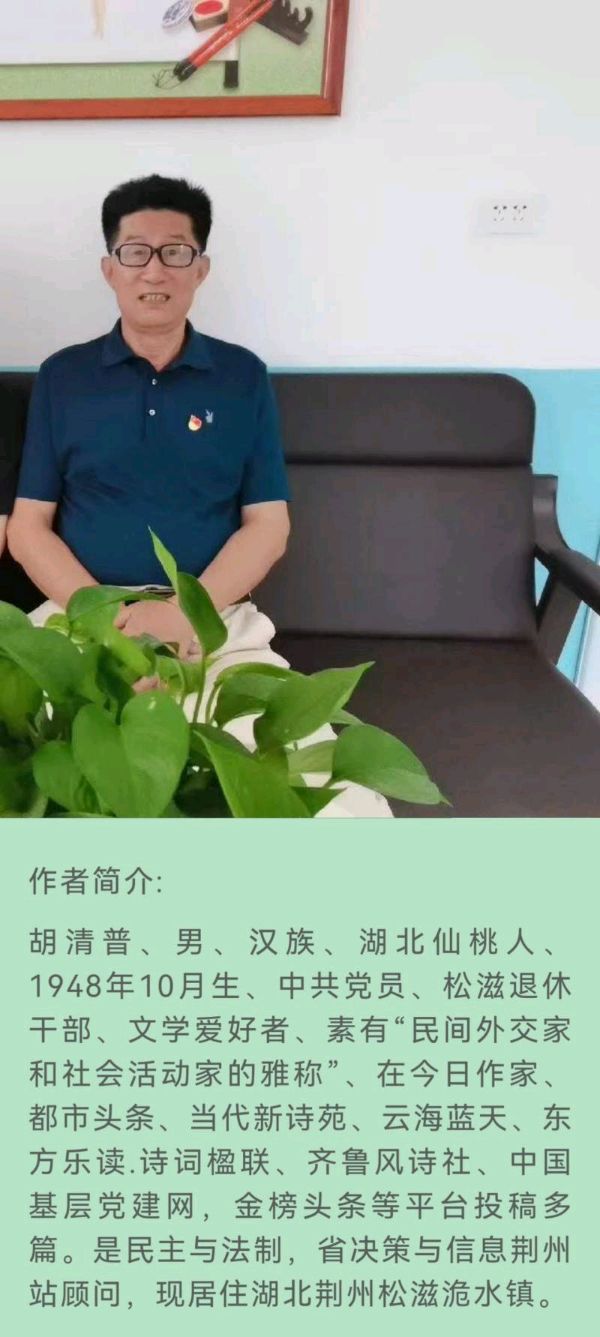 【华夏诗歌】推介胡清普《陪好友到九龙古寺》请欣赏（图10）