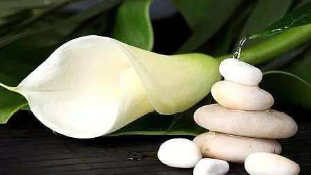 【华夏诗歌】分享优秀作家诗人方亮老师《做人莫亏心》请欣赏（图4）
