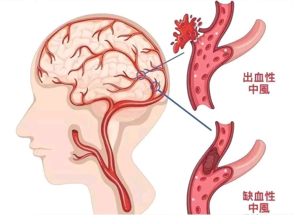 【华夏诗词】推介（湖北）优秀作家诗人崔怀强《七律·誉千秋》请欣赏（图10）
