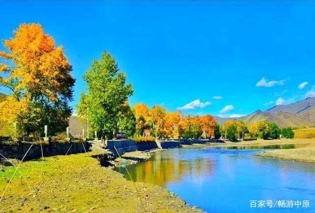 【华夏诗词】推介优秀诗人王学志《七律·秋》请欣赏（图4）