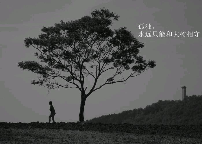 【华夏诗词】分享(婴阳)徐培武《癸卯婴阳第十一组杂诗》(110)秋篇请欣赏(图13)