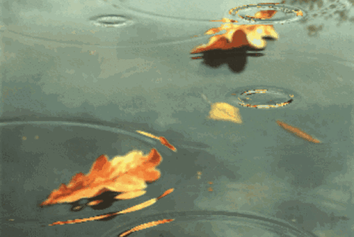 【枫雅汇看图约诗】诗人陈江《239期》（秋雨滴答）（图6）