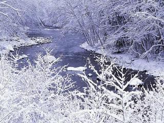 【华夏诗词】分享(吉林抚松)优秀诗人黄文贵《沁园春·雪》外一首请欣赏(图4)