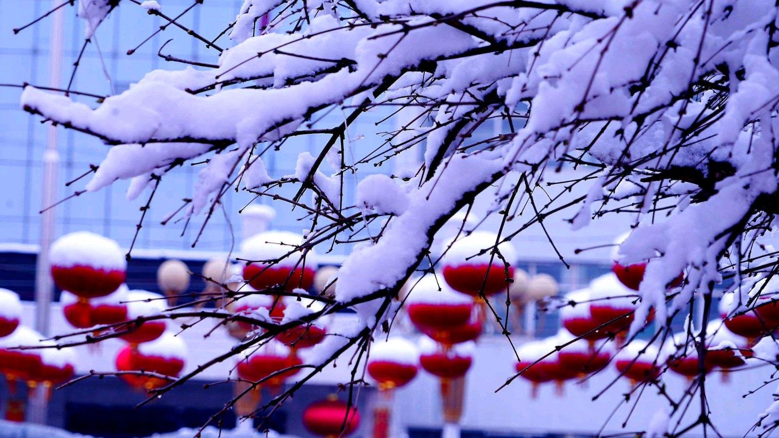 【华夏诗词】分享（吉林抚松）优秀诗人黄文贵《喝火令·雪孕春》请欣赏（图4）