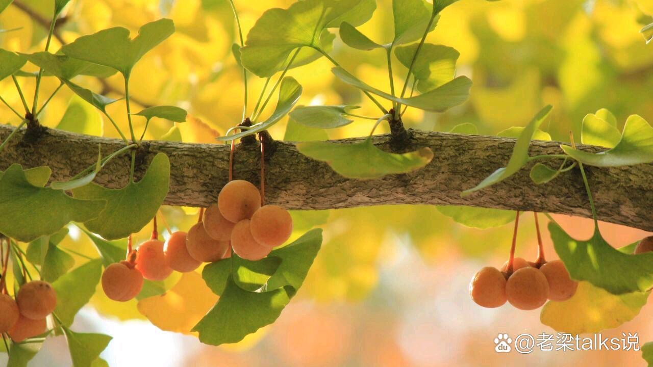 【华夏诗词】分享李周省《七古·中秋情》外两首请欣赏（图5）