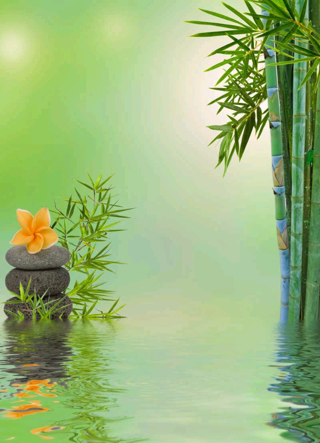 【神都诗社】第067期《竹》（图16）