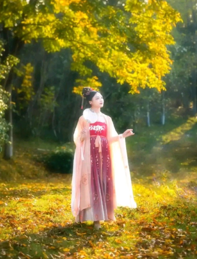 水调歌头/华夏流水诗社王安珍老师专辑（图2）