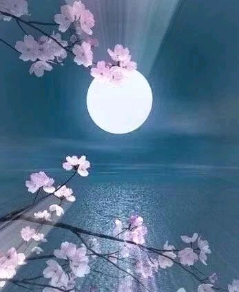 【国风湖南】第39期 青天有月来几时（图5）