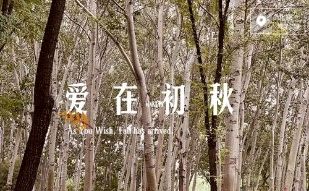 如此深爱在初秋-文/丛林-西银/北京头条（图2）
