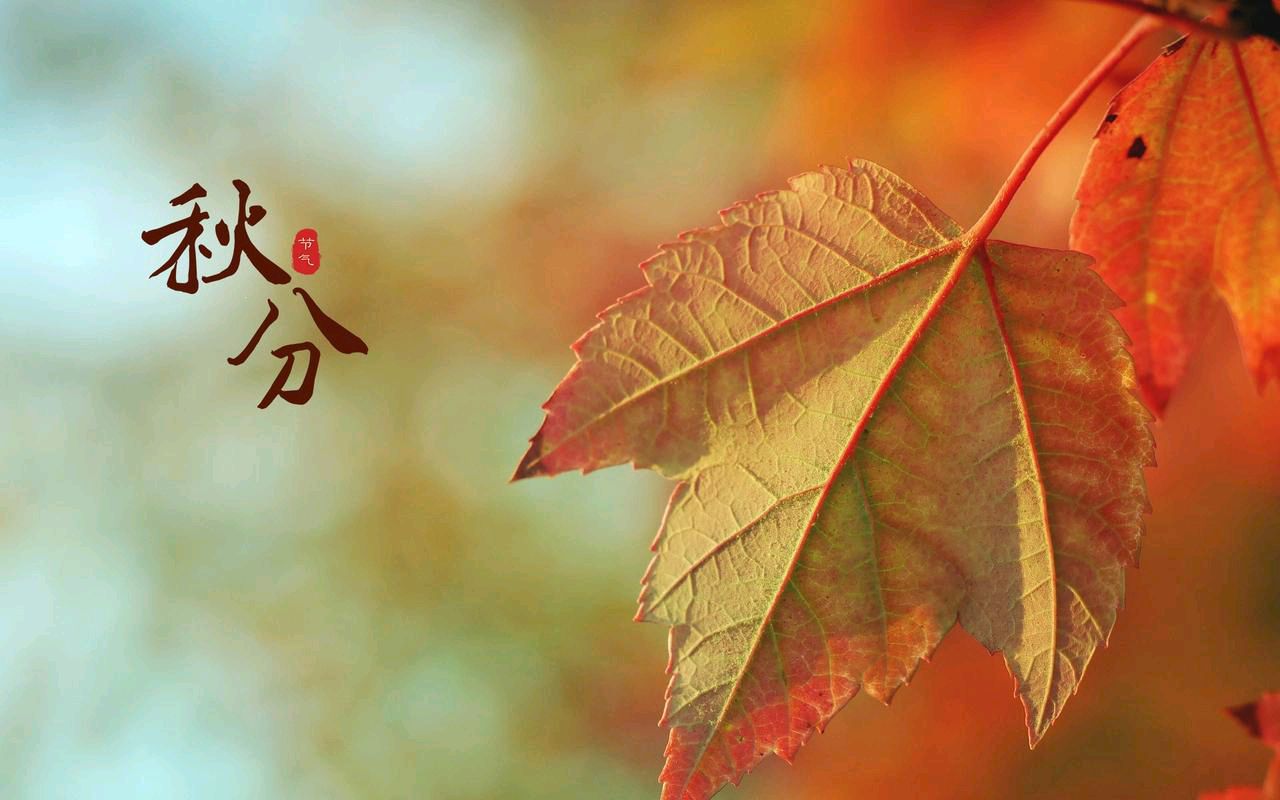 【华夏诗词】分享（山东）优秀诗人沈沛忠《中秋节抒怀》外六首请欣赏（图8）