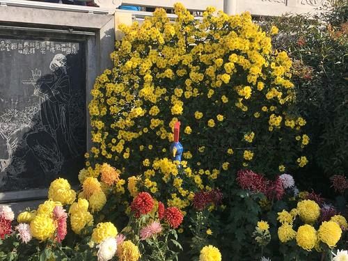 【神都诗社】第068期《菊》（图16）