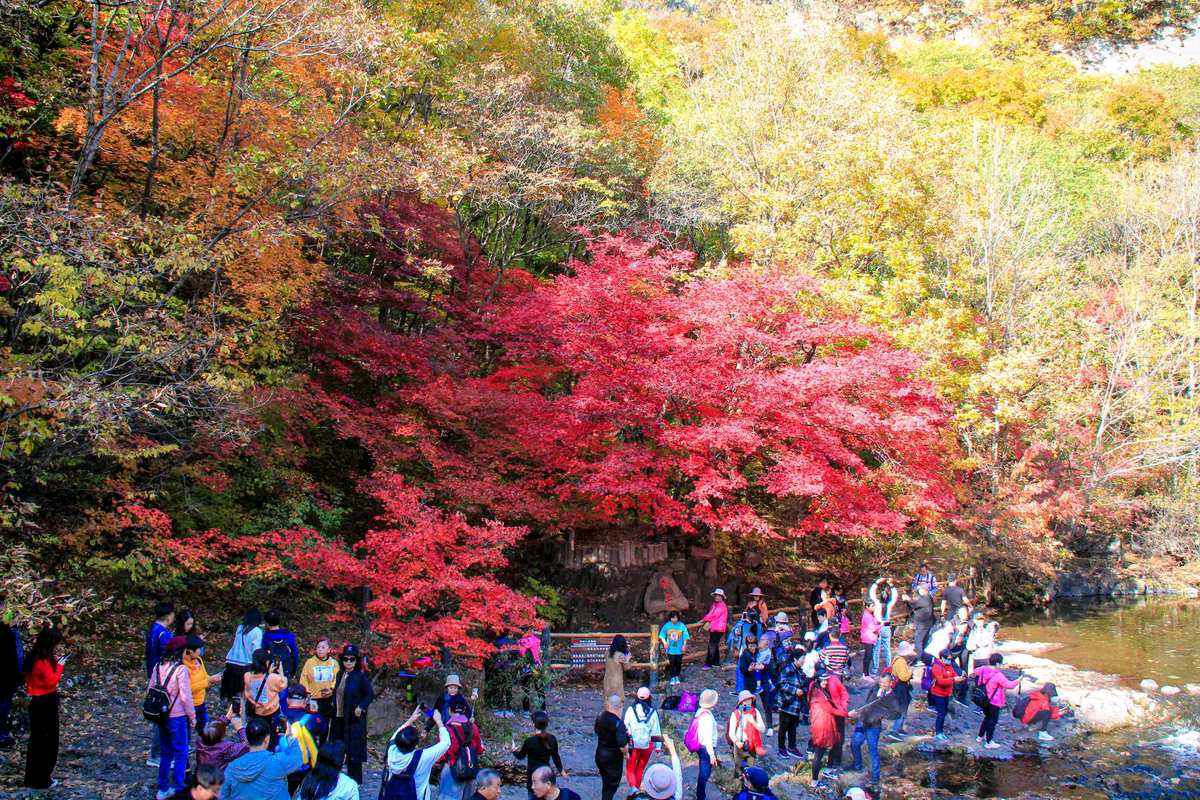 【华夏诗词】分享（山风 本溪）优秀诗人冯其兰《鹧鸪天·秋游关门山》请欣赏（图4）
